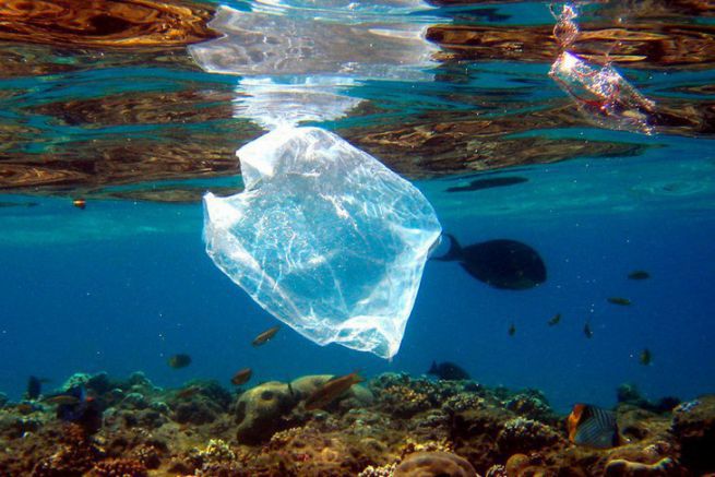 L'ONU lance une campagne pour lutter contre la pollution plastique des ocans