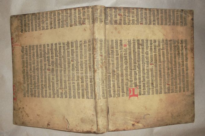 Fragment de la Bible de Gutenberg imprim sur vlin.