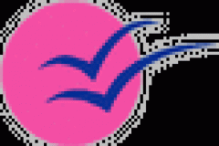 IPS Imprimerie soutient l'association Les Blouses roses