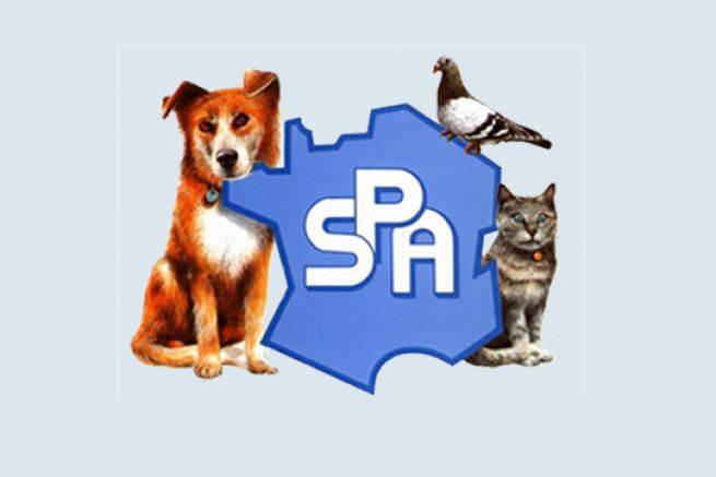 Le précédent logo de la SPA